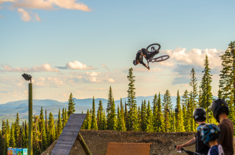 Slopestyle bmx online